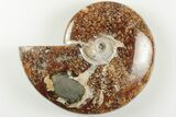 4.4" Polished Ammonite Fossil - Madagascar - #199185-1